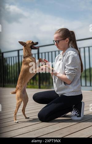 Giovane donna caucasica che cammina con il suo cane Toy Terrier russo. Foto verticale. Foto Stock