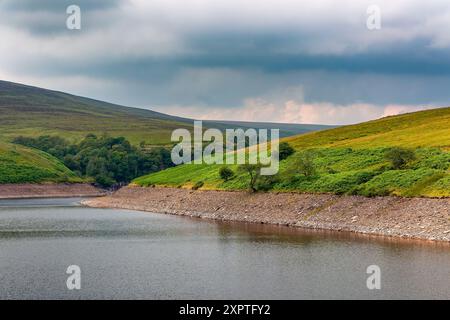 Bassi livelli d'acqua in un bacino idrico in una valle verde e rurale (Grwyne Fawr, Galles) Foto Stock