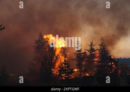 (240807) -- SAFED, 7 agosto 2024 (Xinhua) -- il fumo e le fiamme aumentano a seguito degli attacchi dal Libano, vicino a Safed, nel nord di Israele, il 7 agosto 2024. I media militari di Hezbollah hanno annunciato mercoledì che la resistenza islamica ha attaccato diversi siti e raduni israeliani. (David Cohen/JINI via Xinhua) credito: Xinhua/Alamy Live News Foto Stock