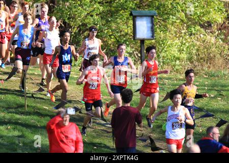 Wappinger Falls, New York, Stati Uniti d'America - 18 novembre 2023: Ragazzi delle scuole superiori che corrono fuori dai boschi su una discesa nel mezzo di una gara di rcross country 5K i Foto Stock