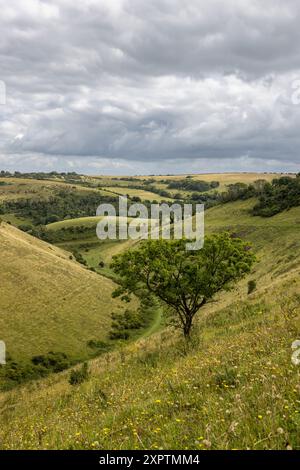 Una vista del Diavolol's Dyke, una profonda valle arida nel Sussex, in un giorno d'estate Foto Stock