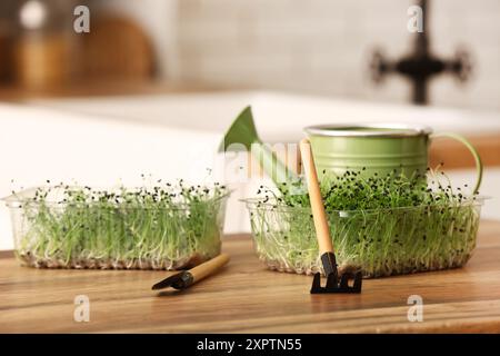 Contenitori in plastica con micro verde, pala e rastrello sul tavolo in cucina Foto Stock