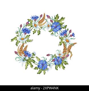 Fiori di corno fiori blu, margherite e orecchie di corona di grano, illustrazione ad acquerello con cornice rotonda. Elemento di composizione botanica isolato dal backgroun Foto Stock