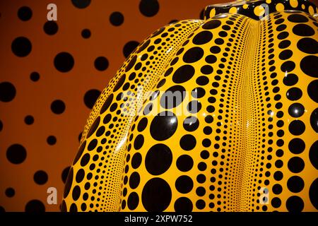 WASHINGTON D.C., Stati Uniti — dettaglio della stanza della zucca, dell'artista Yayoi Kusama, parte di The One with Eternity: Yayoi Kusama nella mostra della collezione Hirshhorn presso l'Hirshhorn Museum sul National Mall di Washington DC. questa mostra presenta le iconiche sculture di zucca di Kusama e le coinvolgenti Infinity Mirror Rooms, che mettono in evidenza il suo contributo all'arte contemporanea. Foto Stock