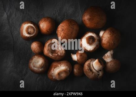 Baby bella funghi su sfondo di ardesia nera, natura morta Foto Stock