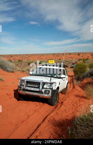 Traversata in fuoristrada 4x4 sulle dune della French Line Track; Munga-Thirri-Simpson Desert National Park, Simpson Desert, Outback South Australia, Australia Foto Stock