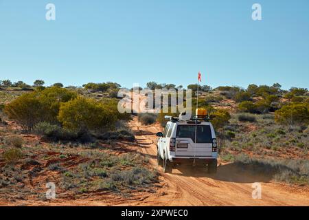 Traversata in fuoristrada 4x4 sulle dune della French Line Track, Munga-Thirri-Simpson Desert National Park, Simpson Desert, Outback South Australia, Australia Foto Stock