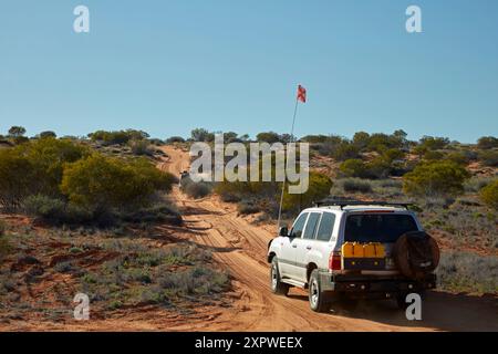 Traversata in fuoristrada 4x4 sulle dune della French Line Track, Munga-Thirri-Simpson Desert National Park, Simpson Desert, Outback South Australia, Australia Foto Stock