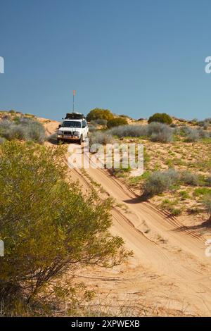 Traversata in fuoristrada 4x4 sulle dune della French Line Track, Munga-Thirri-Simpson Desert National Park, Simpson Desert, Outback South Australia, Australia Foto Stock