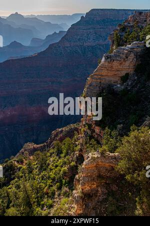Haze riempie la distanza al Grand Canyon National Park, Coconino County, Arizona Foto Stock