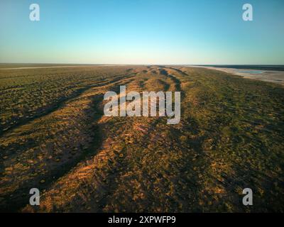 Simpson Desert, QAA Line, Munga-Thirri National Park, Outback Queensland, Australia Foto Stock