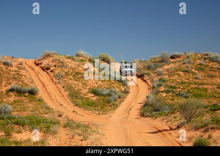 Attraversamento di dune su fuoristrada 4x4 sulla linea QAA Track, Parco Nazionale Munga-Thirri, deserto Simpson Outback Queensland, Australia Foto Stock