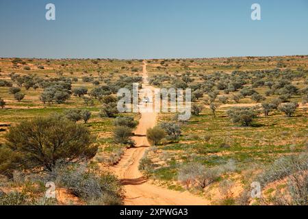 La pista della linea QAA, il Parco Nazionale Munga-Thirri, l'entroterra del deserto Simpson Queensland, Australia Foto Stock