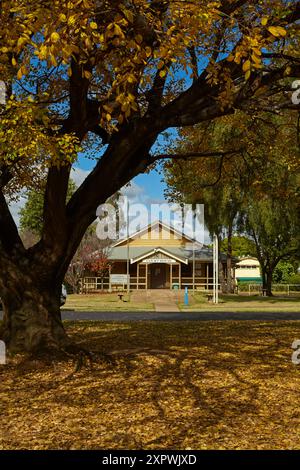 Colori autunnali (in inverno), e la storica Court House, St George, Contea di Balonne, Queensland, Australia Foto Stock