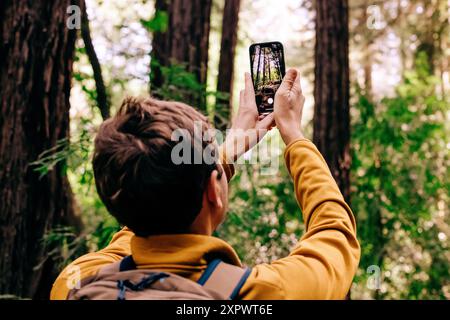 Uomo escursionista che scatta foto con uno smartphone in una lussureggiante foresta di sequoie Foto Stock