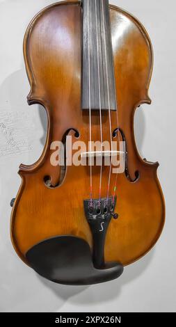 Violino, strumento musicale appeso su una parete grigia. Classico, Copia spazio Foto Stock