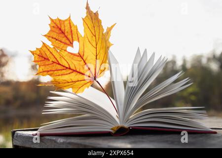 Ciao, Autunno. foto d'atmosfera stagionale. Una bella foglia di acero giallo-arancio tra le pagine di un libro aperto in una giornata di sole. piacevole solitudine, s. Foto Stock