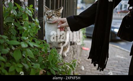 Un'interazione premurosa, mentre una donna accarezza dolcemente un gatto randagio in una strada urbana, evocando un senso di gentilezza in città. Foto Stock