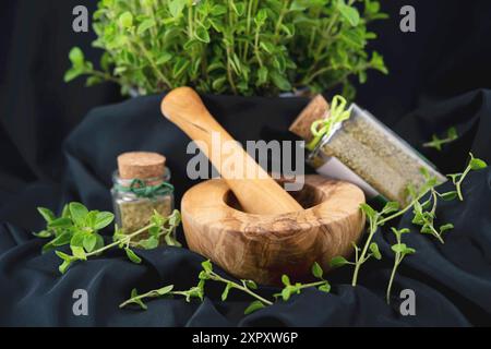 Origanum selvatico, marjoram selvatico (Origanum vulgare), origano fresco e strofinato in vaso, con mortaio Foto Stock