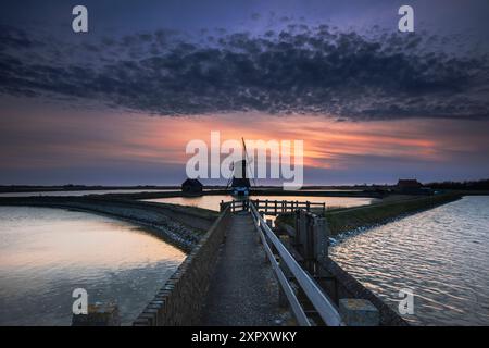 Mulino a vento Het Noorden all'alba, Paesi Bassi, Texel, Krassekeet Foto Stock