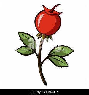 Ramo rosehip disegnato a mano con frutti di bosco. Illustrazione vettoriale in stile cartoni animati. Illustrazione Vettoriale
