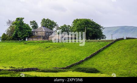 Fattorie sopra Upper Teesdale e River Tees, villaggio di Forest-in-Teesdale, contea di Durham e Cumbria, Inghilterra, Regno Unito Foto Stock