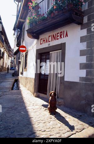 Cane seduto per strada. Candelario, provincia di Salamanca, Castilla Leon, Spagna. Foto Stock