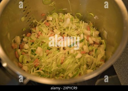 le verdure per la preparazione della zuppa di pollo vengono cotte in una pentola Foto Stock