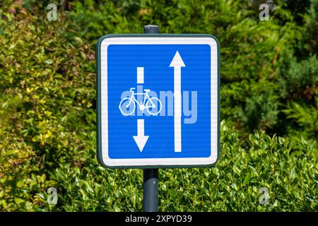 Segnaletica stradale indicante che le biciclette possono viaggiare in direzione opposta al flusso del traffico motorizzato Foto Stock