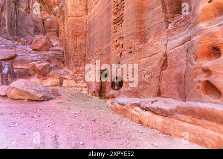 Un asino o mulo tra le rovine di Petra, un'antica città nabatea nell'attuale Giordania Foto Stock