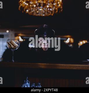 Welle Wahnsinn, deutsche TV serie, ZDF, 1983, Szene: Dieter Hallervorden Foto Stock