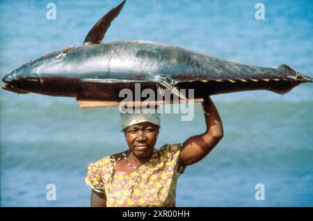 Capo Verde, isola di Santo Antao. La donna trasporta un enorme tonno, ha appena comprato da un pescatore sulla spiaggia. Foto Stock