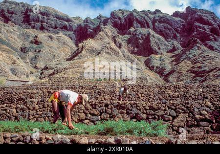 Capo Verde, Santo Antao. Persone che lavorano sulle terrazze. Foto Stock