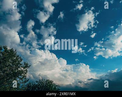 Splendido cielo primaverile con nuvole bianche soffici sopra le cime verdi degli alberi, messa a fuoco selettiva Foto Stock