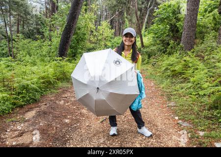 Trekking in una foresta di cicogne, nel Parco Nazionale di Lovcen, Montenegro Foto Stock