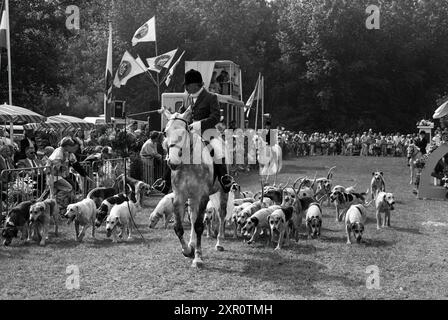 Concorso di salto ostacoli vari Haarlemmermeersebos, Haarlemmermeer, Haarlemmermeerse Bos, 16-06-1990, Whizgle Dutch News: Immagini storiche su misura per il futuro. Esplora il passato dei Paesi Bassi con prospettive moderne attraverso le immagini delle agenzie olandesi. Colmare gli eventi di ieri con gli approfondimenti di domani. Intraprendi un viaggio senza tempo con storie che plasmano il nostro futuro. Foto Stock