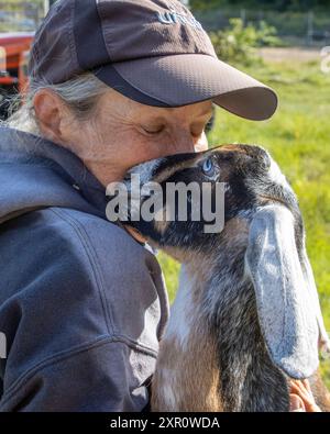 Una donna con la sua capra nubiana molto amichevole Foto Stock