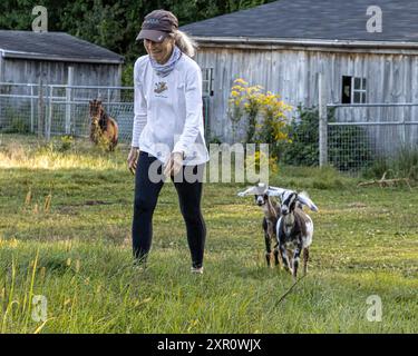 Donna che cammina in un campo con due capre nubiane Foto Stock