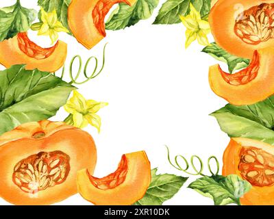 cornice acquerello con diverse zucche mature arancio e beige con foglie verdi, steli, fiori gialli, illustrazione della raccolta autunnale, sketc Foto Stock