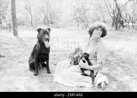 Donna con tre cani nel parco, Velsen, 16-05-1979, Whizgle Dutch News: Immagini storiche su misura per il futuro. Esplora il passato dei Paesi Bassi con prospettive moderne attraverso le immagini delle agenzie olandesi. Colmare gli eventi di ieri con gli approfondimenti di domani. Intraprendi un viaggio senza tempo con storie che plasmano il nostro futuro. Foto Stock