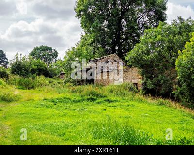 Casa in pietra fatiscente circondata da vegetazione lussureggiante e alti alberi sotto un cielo parzialmente nuvoloso. Castleton Hope Valley Derbyshire Regno Unito. Foto Stock