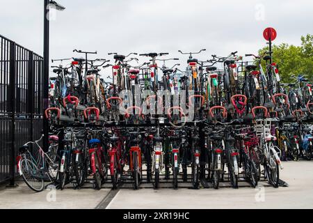 Deposito pubblico per biciclette e biciclette presso un'ex piattaforma della ferrovia di Tilburg. Tilburg, Paesi Bassi. Tilburg Centraal Station Noord-Brabant Nederland Copyright: XGuidoxKoppesxPhotox Foto Stock