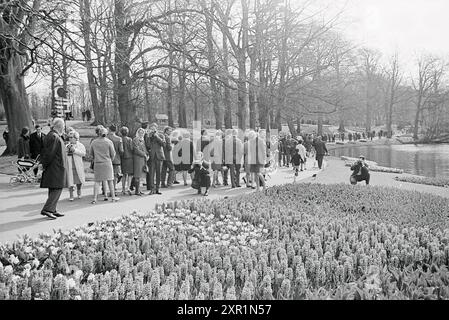 Busy Keukenhof, tenuta della Fondazione Keukenhof a Lisse, Stationsweg, 14-04-1968, Whizgle Dutch News: Immagini storiche su misura per il futuro. Esplora il passato dei Paesi Bassi con prospettive moderne attraverso le immagini delle agenzie olandesi. Colmare gli eventi di ieri con gli approfondimenti di domani. Intraprendi un viaggio senza tempo con storie che plasmano il nostro futuro. Foto Stock