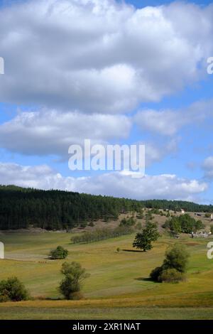 Grandi nuvole nel cielo blu su prato con alberi vicino a Kremna, nella Serbia occidentale Foto Stock