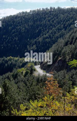 Strada che attraversa il monte Mokra Gora in autunno nella Serbia sud-occidentale Foto Stock