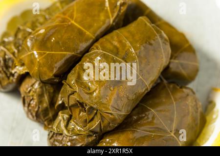 Foglie di uva ripiena greca sana con limone e ripieno Foto Stock