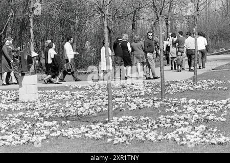 Busy Keukenhof, tenuta della Fondazione Keukenhof a Lisse, 07-04-1969, Whizgle Dutch News: Immagini storiche su misura per il futuro. Esplora il passato dei Paesi Bassi con prospettive moderne attraverso le immagini delle agenzie olandesi. Colmare gli eventi di ieri con gli approfondimenti di domani. Intraprendi un viaggio senza tempo con storie che plasmano il nostro futuro. Foto Stock