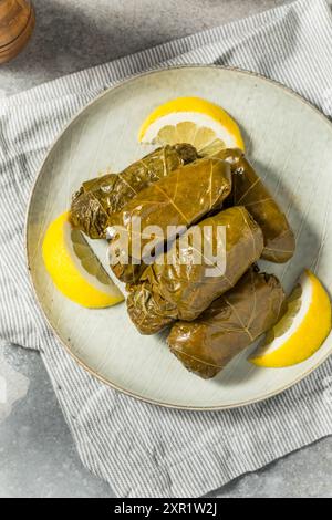Foglie di uva ripiena greca sana con limone e ripieno Foto Stock