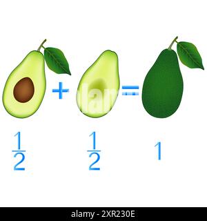 Relazione d'azione di metà addizione, esempi con avocado. Gioco educativo per bambini. Illustrazione Vettoriale