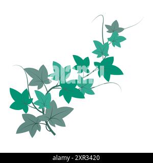 Ramo Green ivy. Vettore vegetale a foglia. Illustrazione della natura. Dettaglio botanico. Illustrazione Vettoriale